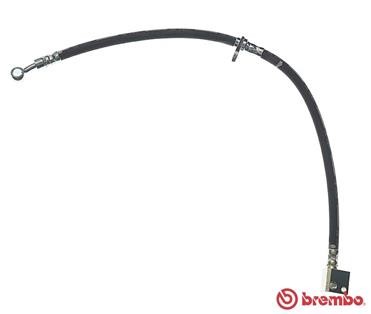 104 brembo brake hose for - 28,